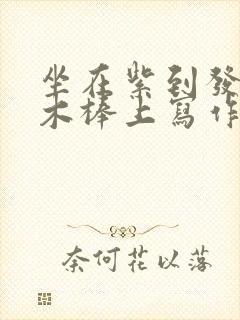 坐在紫到发黑的木棒上写作业