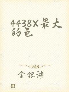 4438X最大的色