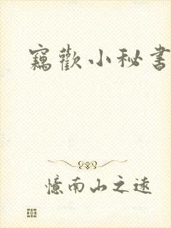 窃欢小秘书