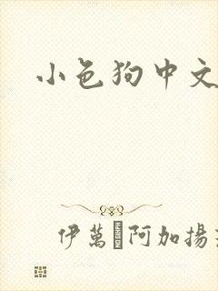小色狗中文网