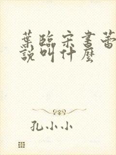 叶临宋书蕾的小说叫什么