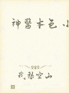 神医本色 小说