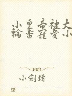 小皇帝被大臣们轮番宠爱小说