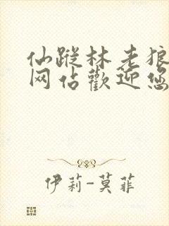 仙踪林老狼官方网站欢迎您