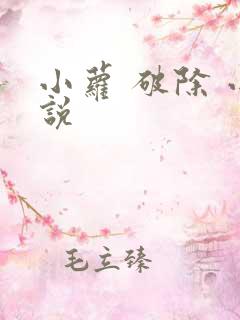 小萝 破除 小说
