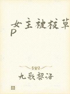 女主被校草们NP