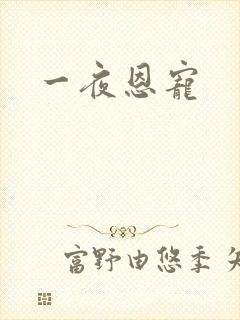 一夜恩宠