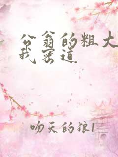 公翁的粗大挺进我密道