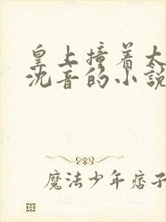 皇上撞着太子妃沈音的小说叫什么