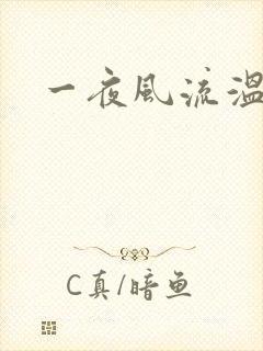 一夜风流温暮生