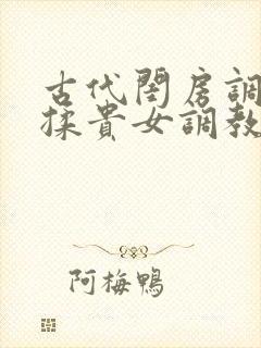古代闺房调教h揉贵女调教记