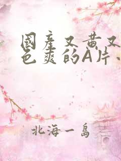 国产又黄又大又色爽的A片小说