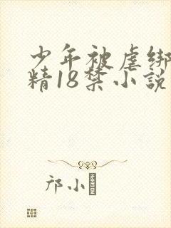 少年被虐绑着榨精18禁小说