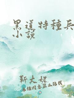 黑道特种兵有声小说