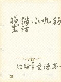 贱猫小叽的幸福生活