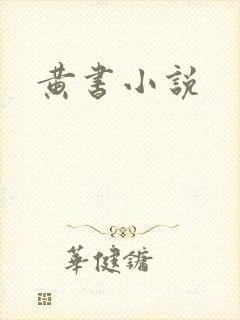 黄书小说