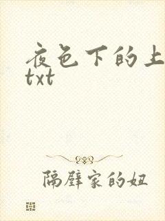 夜色下的上海滩txt