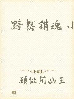 黯然销魂 小说