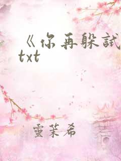 《你再躲试试》txt