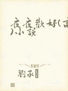 夜夜欢好(高h)小说