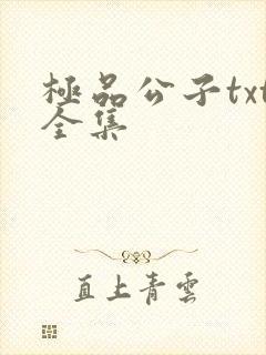 极品公子txt全集