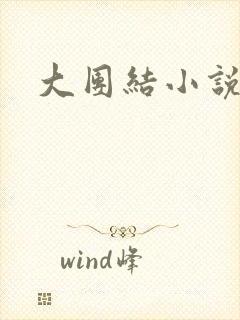 大团结小说阅读