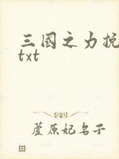 三国之力挽狂澜txt