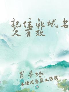 记住此域名记永久有效