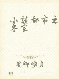 小说都市之军火专家