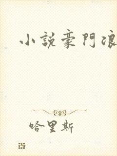 小说豪门浪荡史