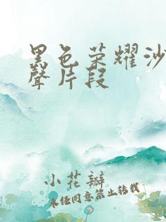 黑色荣耀沙发原声片段