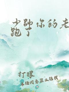 少帅你的老婆又跑了