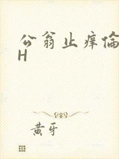 公翁止痒伦理DH