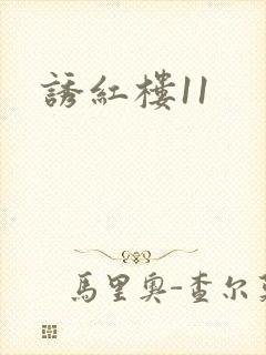 诱红楼11