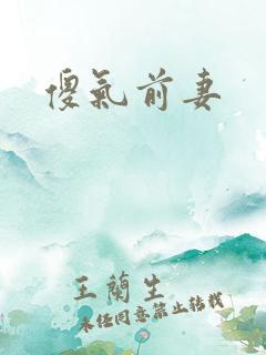 傻气前妻