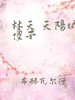 林天 天阳城 傻子