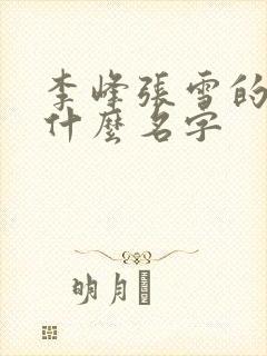 李峰张雪的书叫什么名字