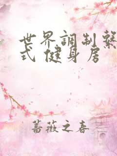 世界调制系统模式 健身房