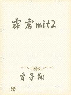 霹雳mit2