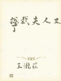 总裁夫人又征婚了