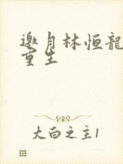 邀月林恒龙凤胎重生