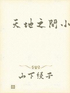 天地之间小说