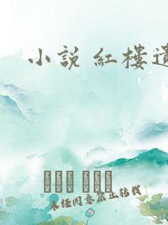 小说 红楼遗秘
