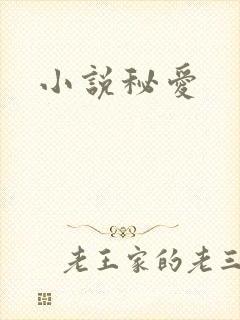 小说秘爱