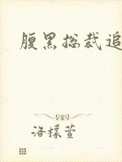 腹黑总裁追娇妻