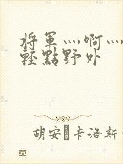 将军灬啊灬啊灬轻点野外