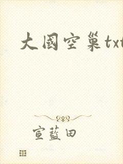 大国空巢txt