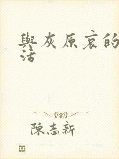 与灰原哀的h生活