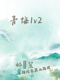青梅1v2