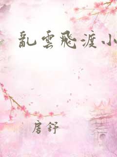 乱云飞渡小说